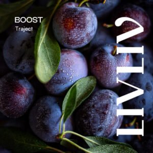Boost traject